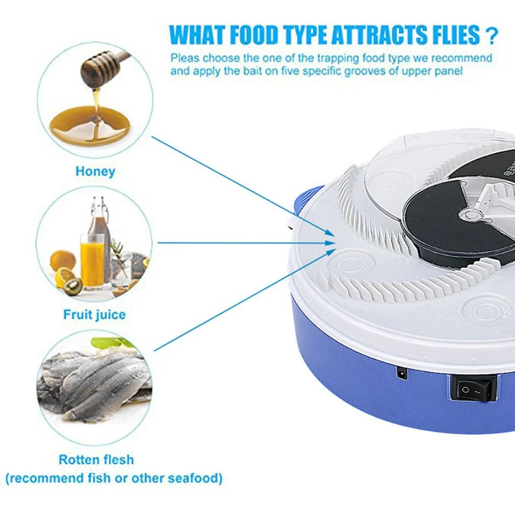 Baby Safe Electric Flycatcher