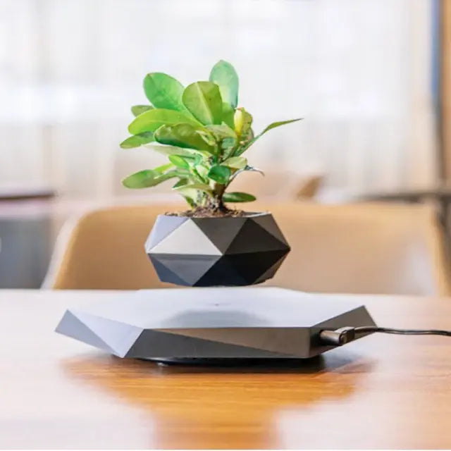 electric levitating planter