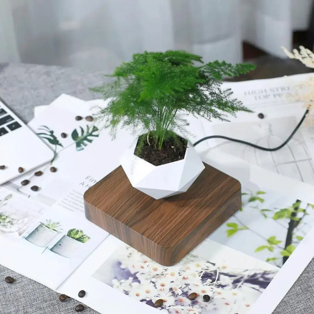 electric levitating planter