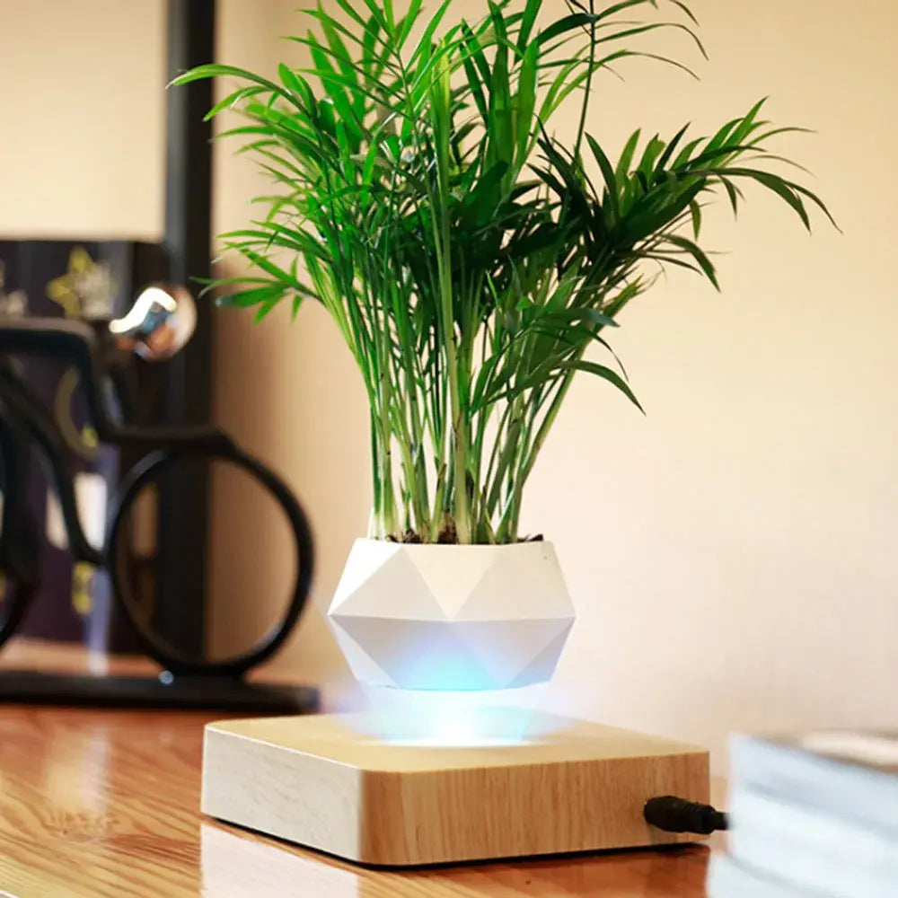 electric levitating planter